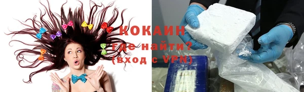 apvp Тайга