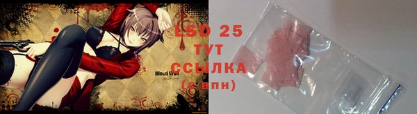 apvp Тайга