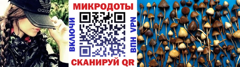 купить наркоту  Ачхой-Мартан  Псилоцибиновые грибы мицелий 